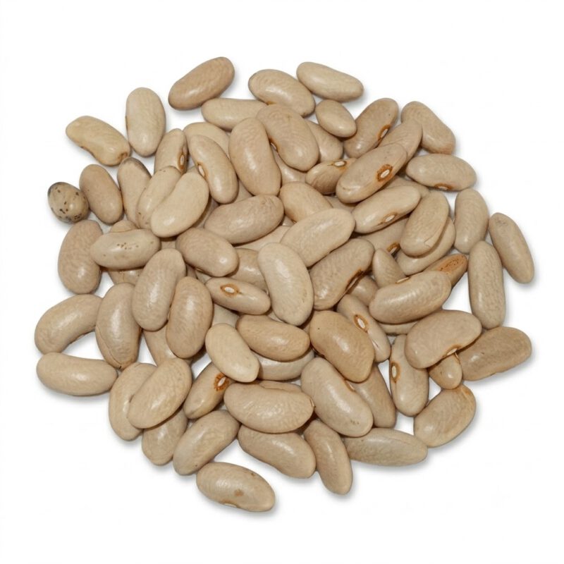 Alubia Canela1kg Legumbres El Rua