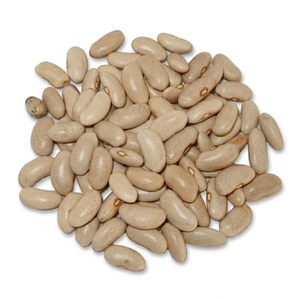 Alubia Canela1kg Legumbres El Rua 1 Alubia Canela1kg Legumbres El Rua