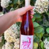 Vino Rosado Gigi 75cl Bodega Garganta Organista