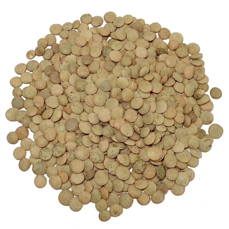 Lenteja Castellana 1kg Legumbres El Rua