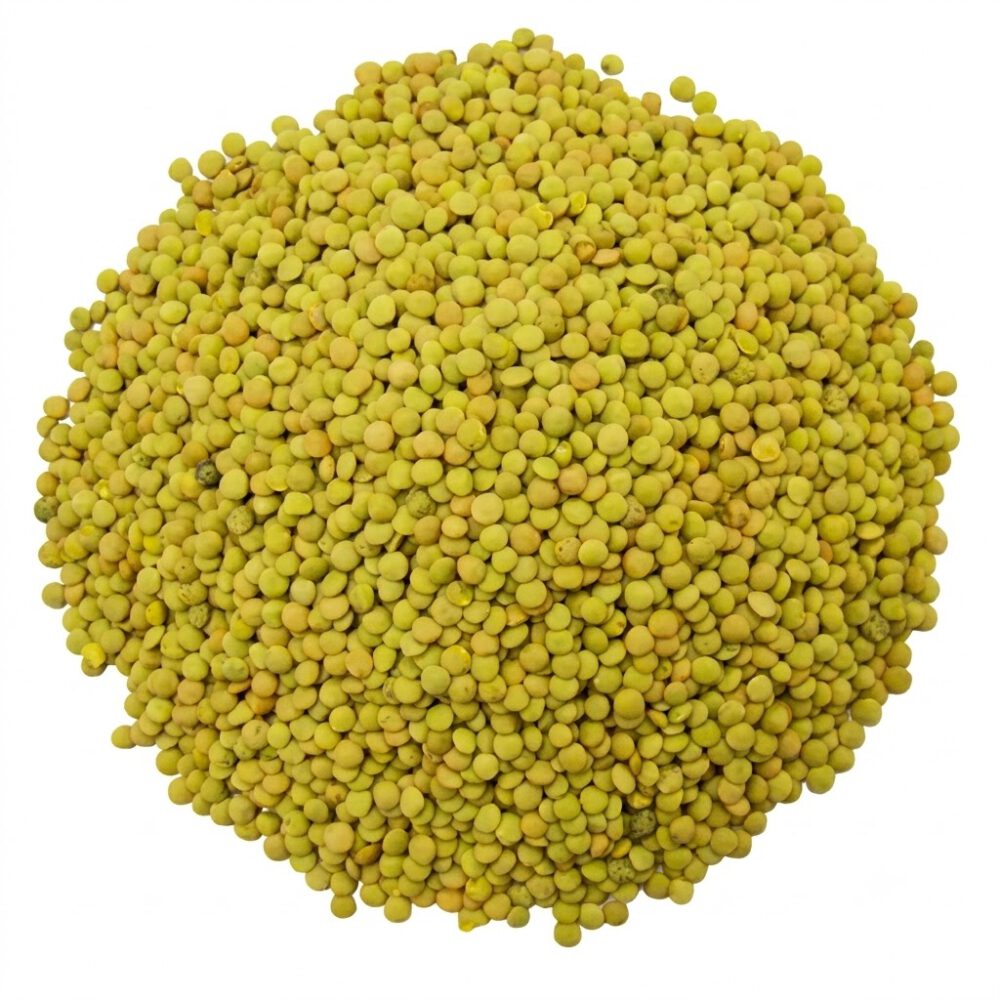 Lenteja Verdina 1kg Legumbres El Rua 1 Lenteja Verdina 1kg Legumbres El Rua