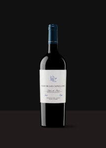 joven roble botella fondo negro