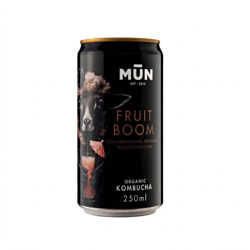 Kombucha Fruit Boom 250ml Mun