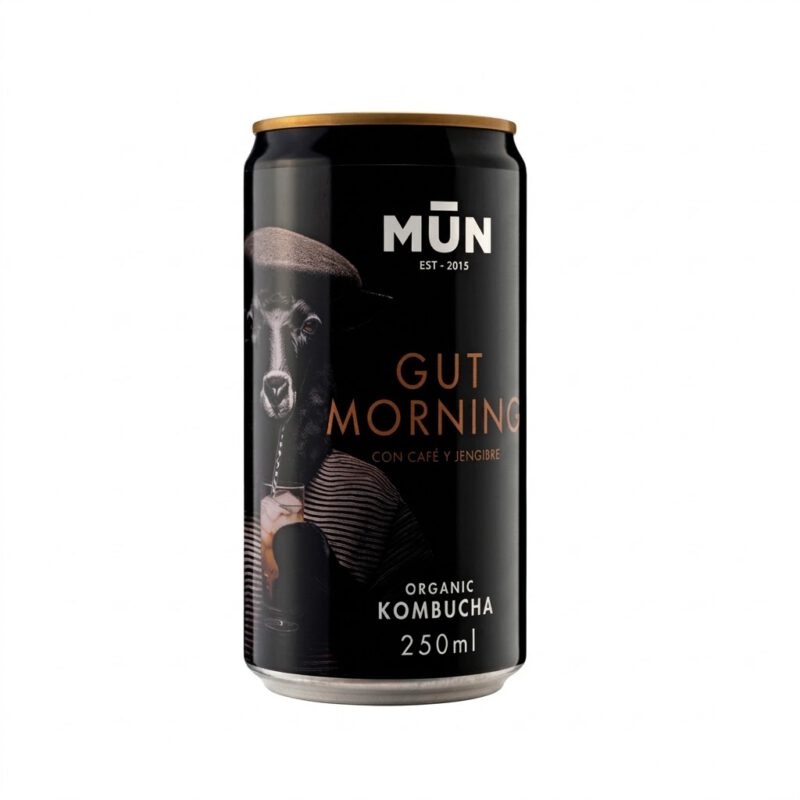 Kombucha Gut Morning 250ml Mun