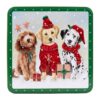 Lata Perros Navidad con galletas 200g Grandma Wilds 2 Lata Perros Navidad con galletas 200g Grandma Wilds